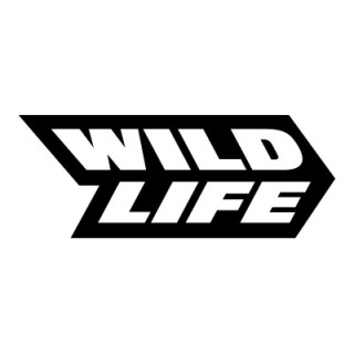 Wildlife Studios 获 6000 万美元投资，专注于人才招募